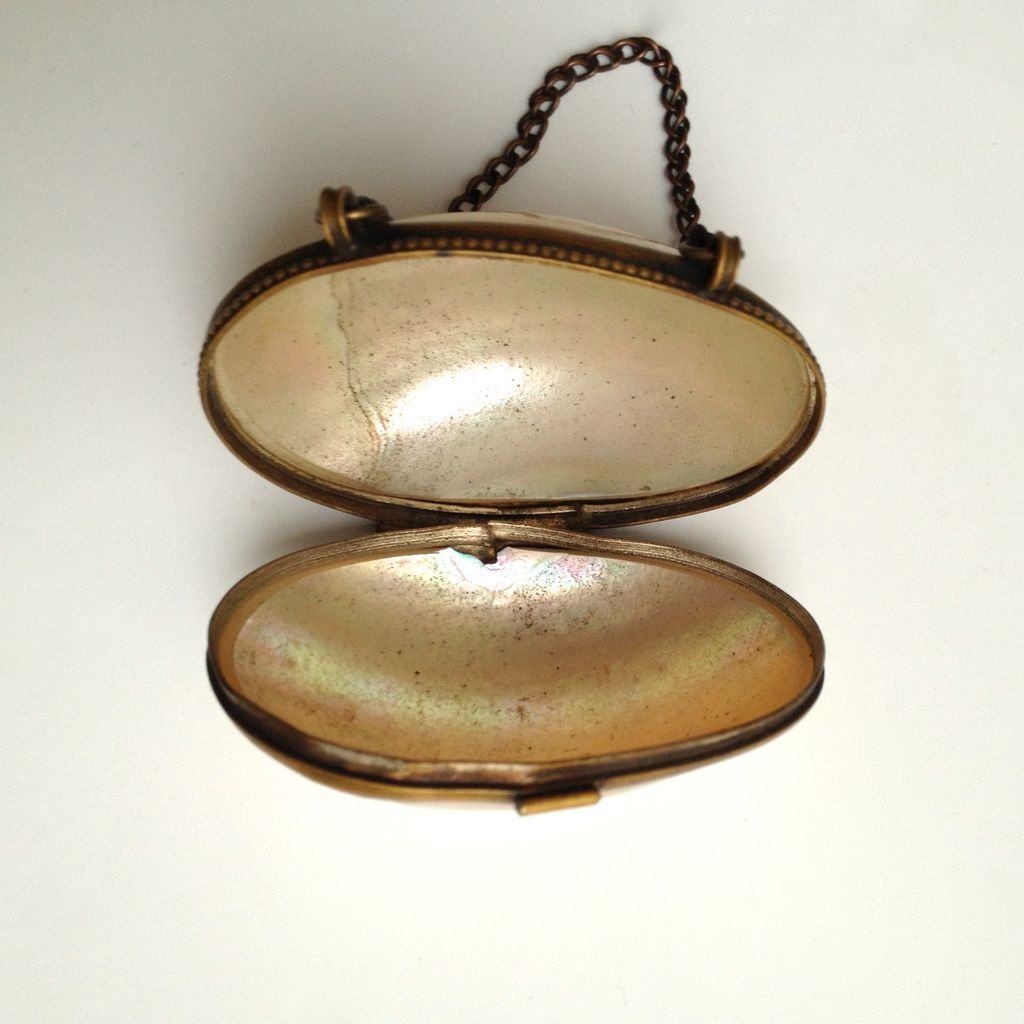 Antique Shell Childs Change Purse with Original Brass Chain Handle Antique Shell Childs Change Purse with Original Brass Chain Handle