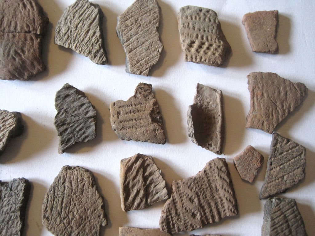 65 Frenchtown NJ Indian Pottery Shards 65 Frenchtown NJ Indian Pottery Shards