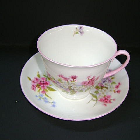 VINTAGE Shelley Fine Bone China Cup and Saucer Pattern Stocks 13428 VINTAGE Shelley Fine Bone China Cup and Saucer Pattern Stocks 13428