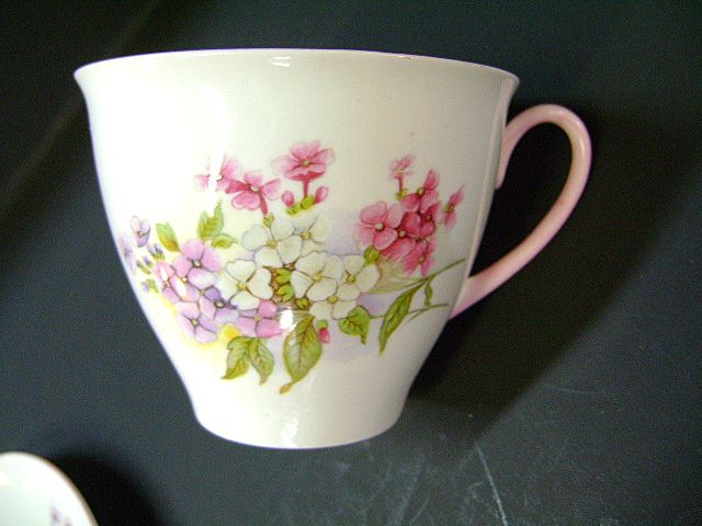 VINTAGE Shelley Fine Bone China Cup and Saucer Pattern Stocks 13428 VINTAGE Shelley Fine Bone China Cup and Saucer Pattern Stocks 13428