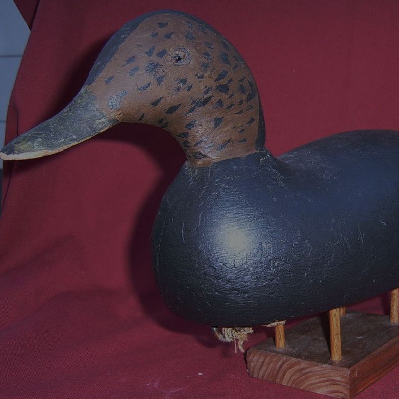 Old Working Black Duck Decoy Old Working Black Duck Decoy
