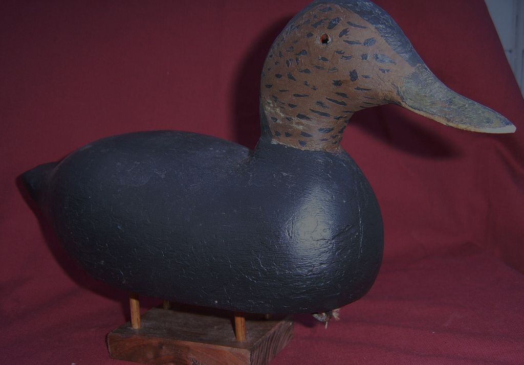 Old Working Black Duck Decoy Old Working Black Duck Decoy