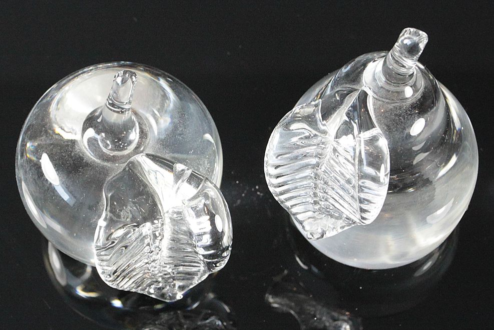 Clear Glass Apple and Pear by Cheryl Takacs Clear Glass Apple and Pear by Cheryl Takacs
