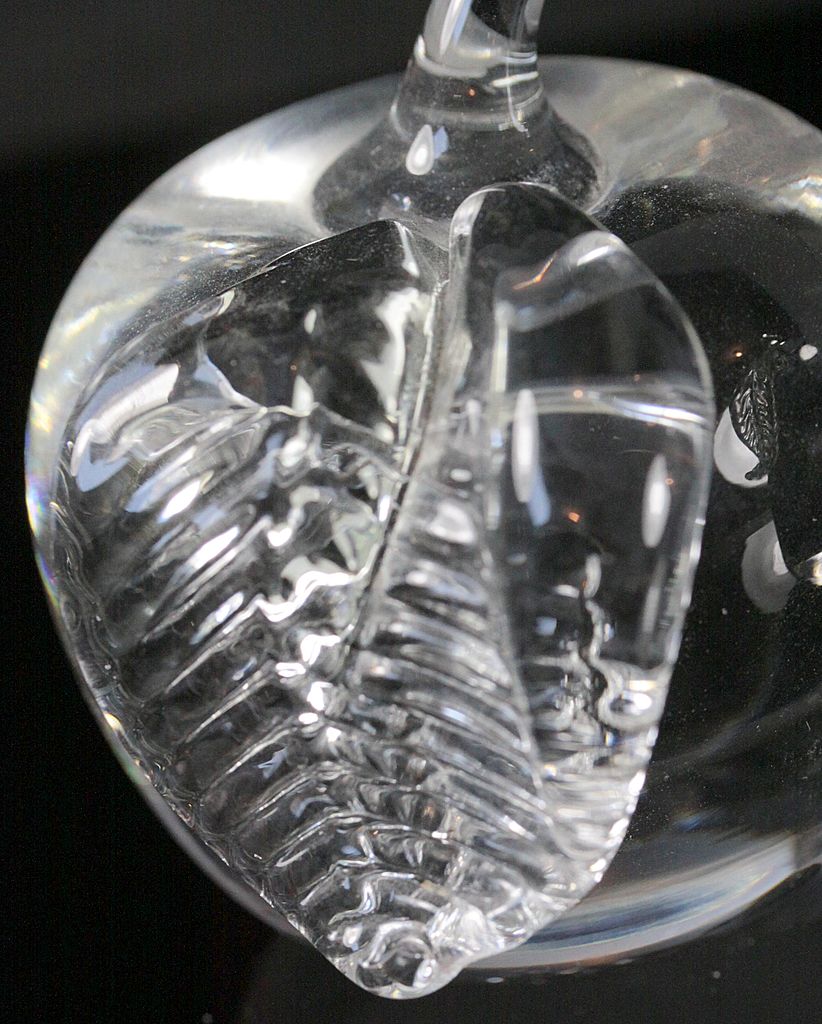 Clear Glass Apple and Pear by Cheryl Takacs Clear Glass Apple and Pear by Cheryl Takacs