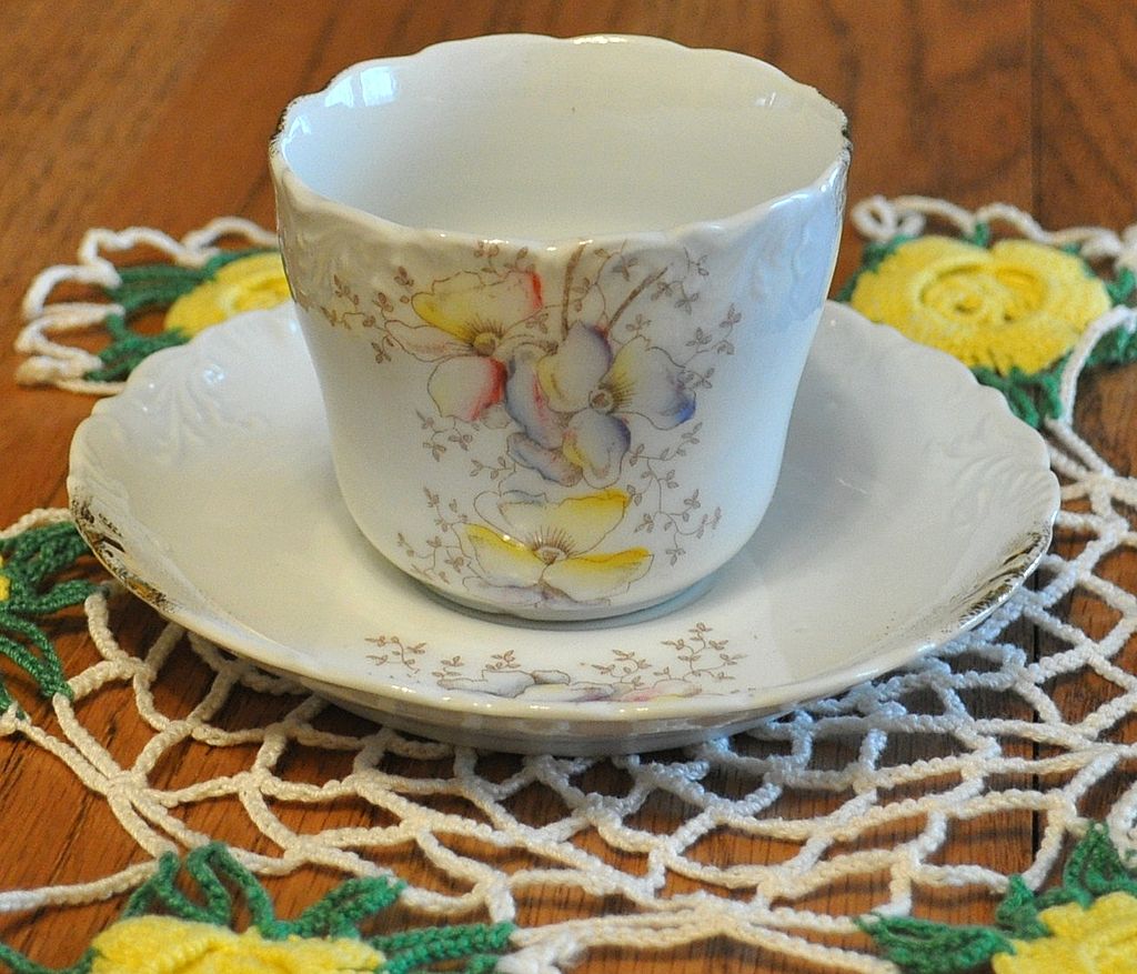 Dresden Cup and Saucer Dresden Cup and Saucer