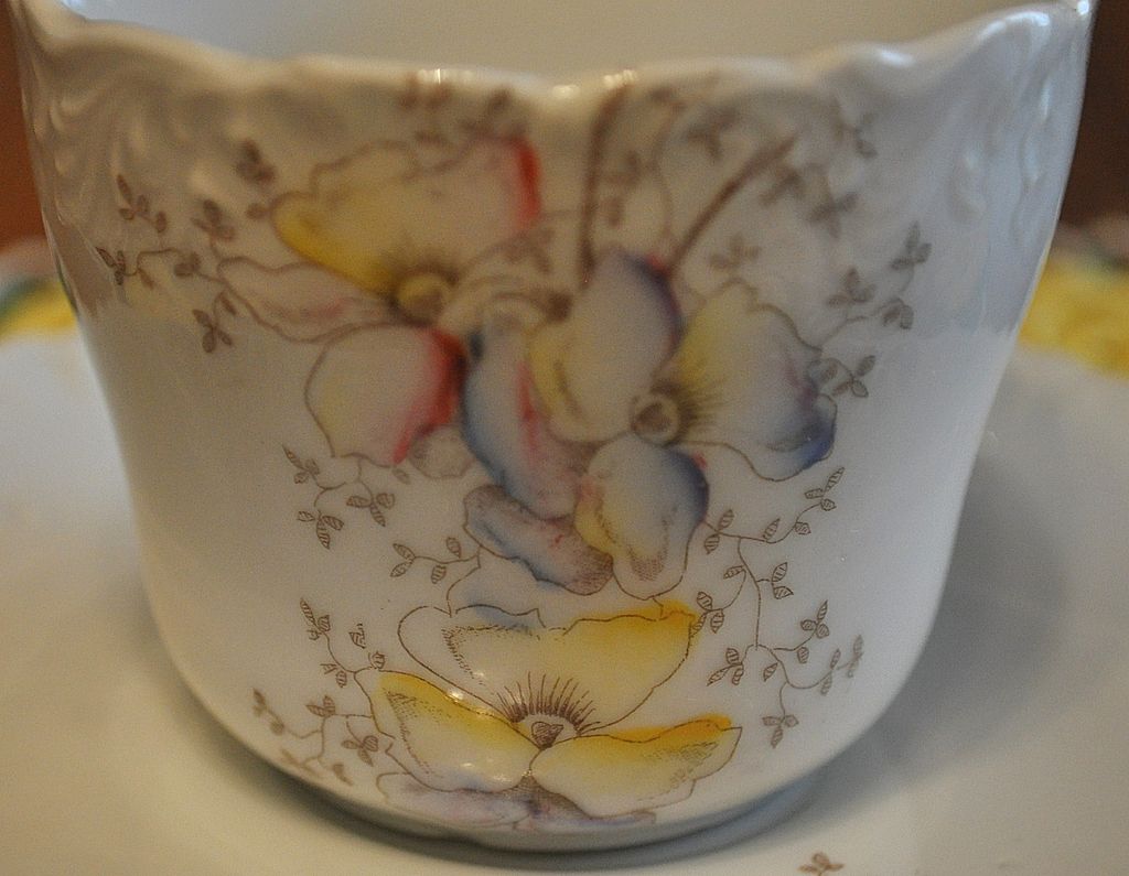 Dresden Cup and Saucer Dresden Cup and Saucer
