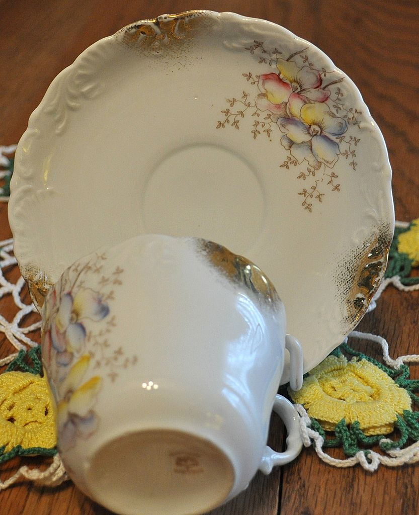 Dresden Cup and Saucer Dresden Cup and Saucer