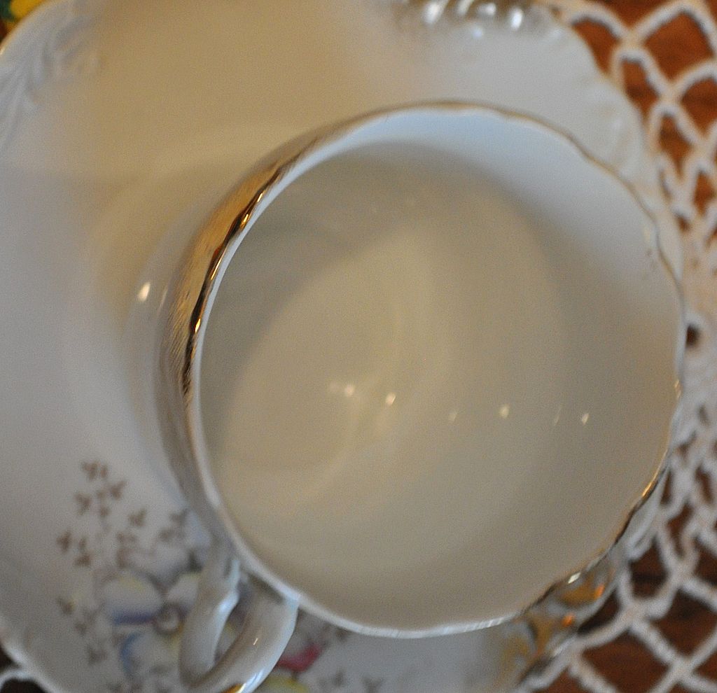Dresden Cup and Saucer Dresden Cup and Saucer