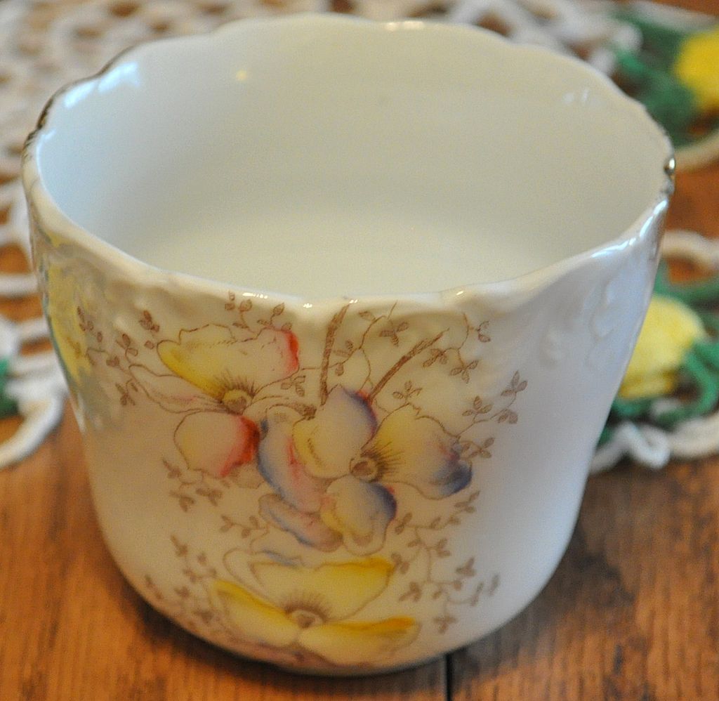Dresden Cup and Saucer Dresden Cup and Saucer