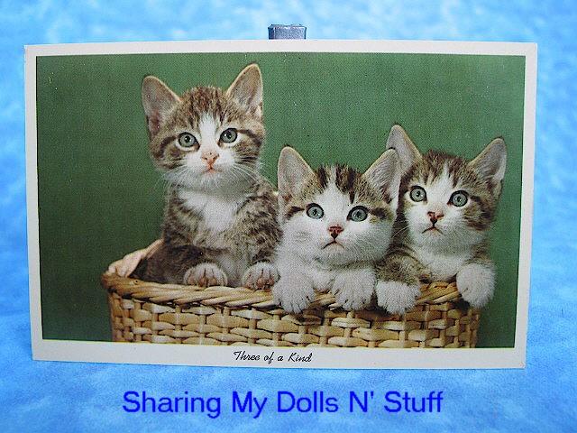 Vintage Curteichcolor Three Of A Kind Kitten Postcard Circa 1950s Vintage Curteichcolor Three Of A Kind Kitten Postcard Circa 1950s