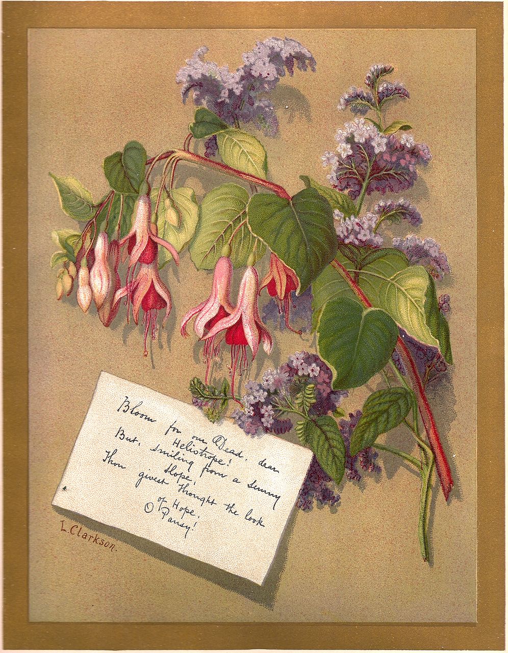 Antique PRINT - 'FUCHSIA & HELIOTROPE' ~ Victorian Chromolithograph c.1880s Antique PRINT - 'FUCHSIA & HELIOTROPE' ~ Victorian Chromolithograph c.1880s