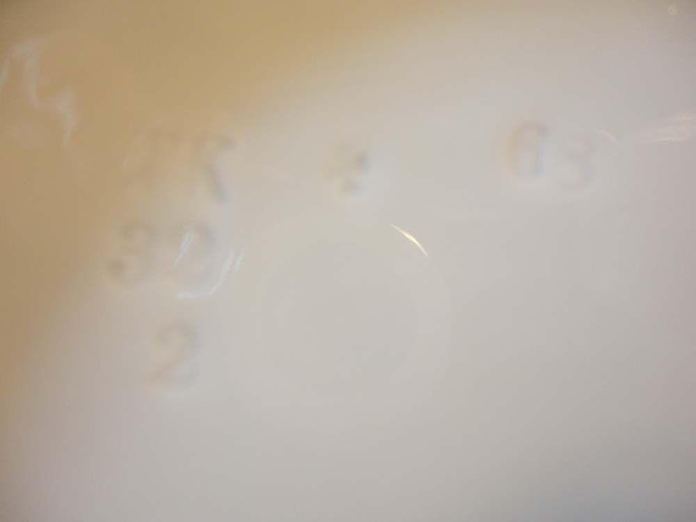 Leonard, Vienna Transferware 14 1/2" Platter Leonard, Vienna Transferware 14 1/2" Platter