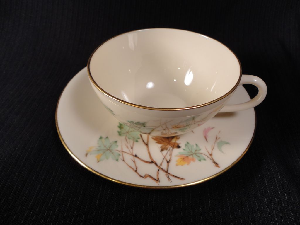 Lenox Westwind Cup and Saucer Set Lenox Westwind Cup and Saucer Set