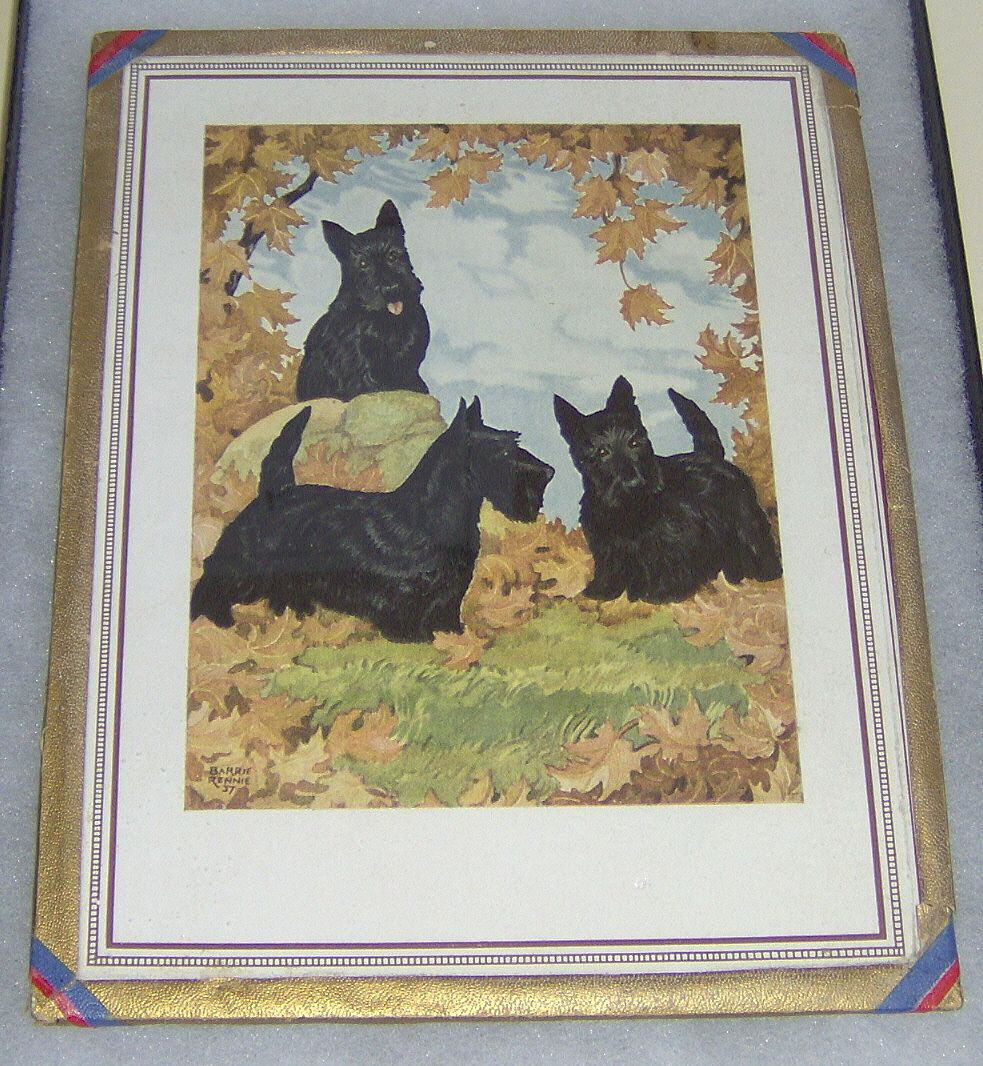Three Scotty Dogs in Fall Leaves print by Barrie Rennie 37 Three Scotty Dogs in Fall Leaves print by Barrie Rennie 37