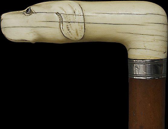 Fine Turn of the Century Carved Ivory Dog Handle Wooden Cane Walking Stick Fine Turn of the Century Carved Ivory Dog Handle Wooden Cane Walking Stick