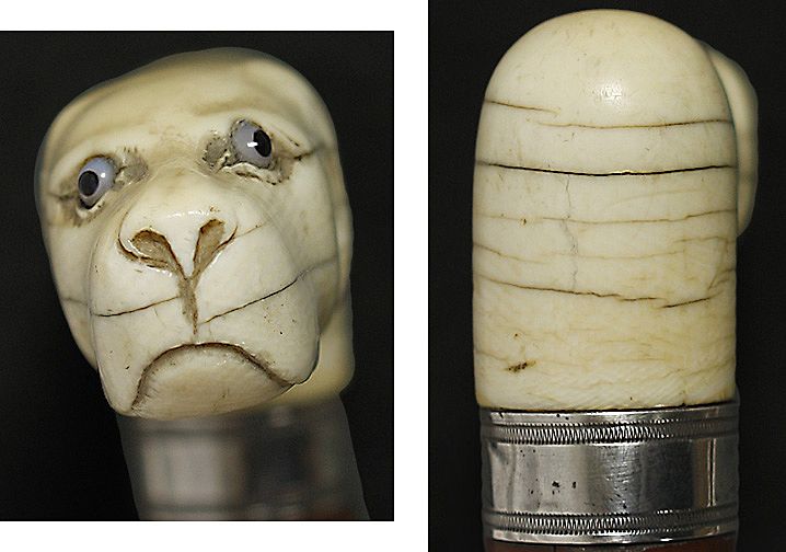 Fine Turn of the Century Carved Ivory Dog Handle Wooden Cane Walking Stick Fine Turn of the Century Carved Ivory Dog Handle Wooden Cane Walking Stick
