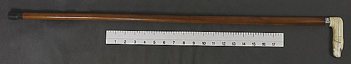 Fine Turn of the Century Carved Ivory Dog Handle Wooden Cane Walking Stick Fine Turn of the Century Carved Ivory Dog Handle Wooden Cane Walking Stick