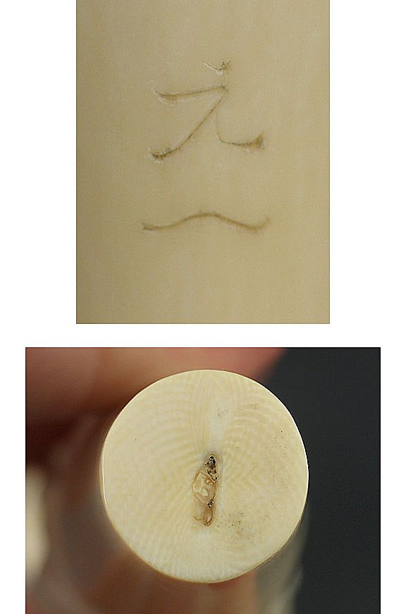 Terrific Meiji Period Carved Ivory Turtles Cane or Parasol Handle Terrific Meiji Period Carved Ivory Turtles Cane or Parasol Handle