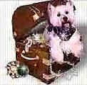 Vintage Jewelry Treasures