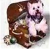 The Treasure Chest The Treasure Chest