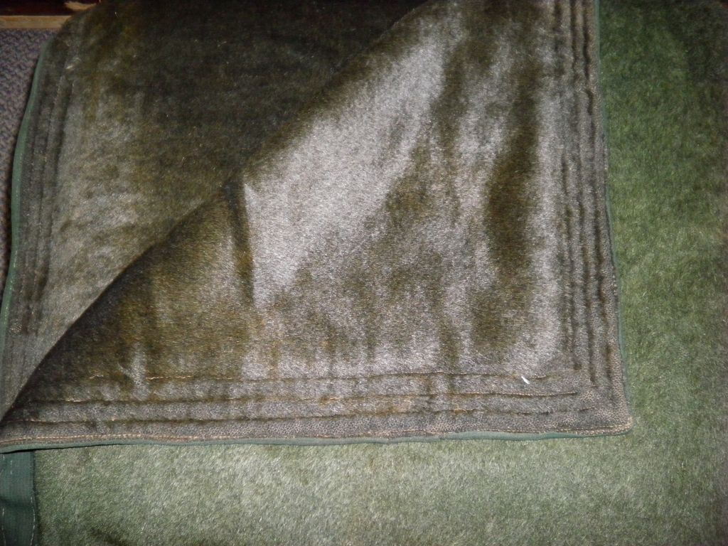 Antique Horse Hide And Wool Carriage Blanket from cameoantiques on