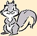 Squirrels Burrow Squirrels Burrow