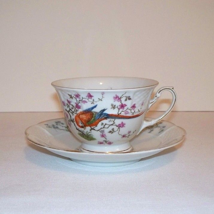 Phillip Rosenthal Parrot Tea Cup and Saucer Phillip Rosenthal Parrot Tea Cup and Saucer