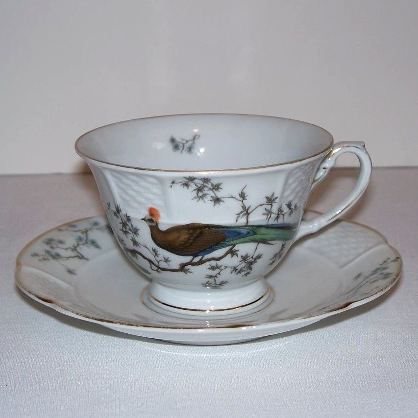 Phillip Rosenthal Bird of Paradise Tea Cup and Saucer Phillip Rosenthal Bird of Paradise Tea Cup and Saucer