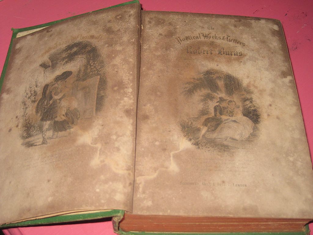 The Poetical Works & Letters of Robert Burns Poetry Antique Book The Poetical Works & Letters of Robert Burns Poetry Antique Book