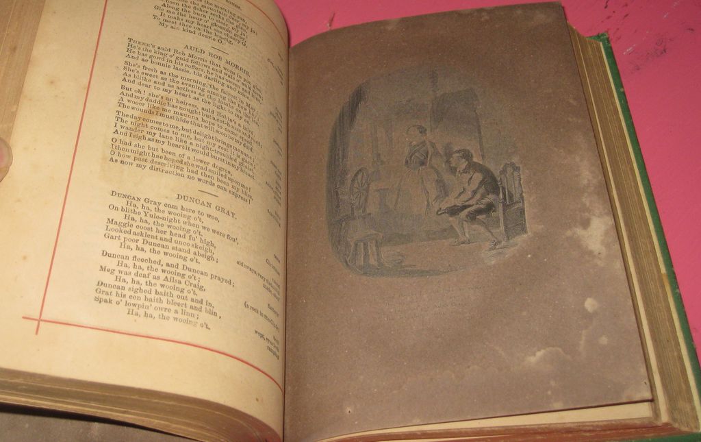 The Poetical Works & Letters of Robert Burns Poetry Antique Book The Poetical Works & Letters of Robert Burns Poetry Antique Book