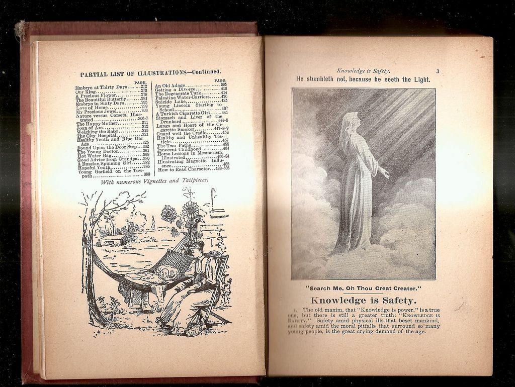 Book-"Safe Counsel" Book-"Safe Counsel"