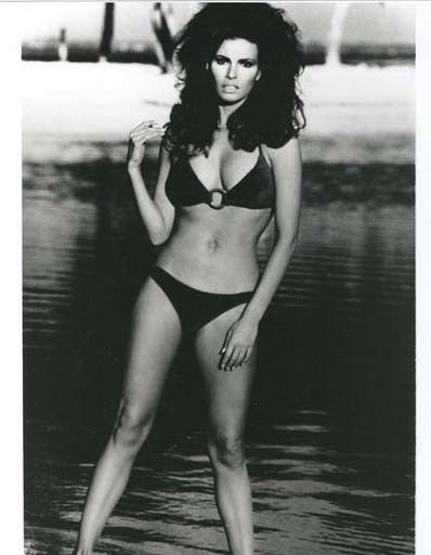 1960's RAQUEL WELCH Hollywood Studio Photograph - Sex Symbol, Pin-Up, Movie Memorabilia, Vintage 1960's RAQUEL WELCH Hollywood Studio Photograph - Sex Symbol, Pin-Up, Movie Memorabilia, Vintage