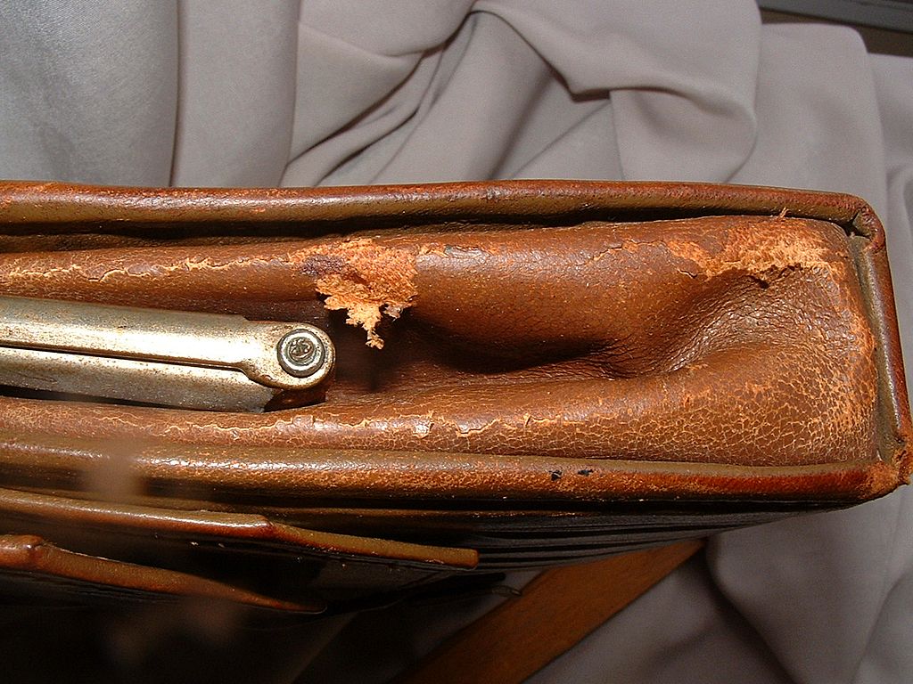 Early 20th Century Art Nouveau Leather Purse Early 20th Century Art Nouveau Leather Purse