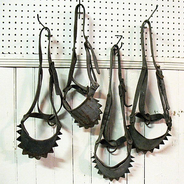 20% OFF Hard to Find Vintage Primitive Calf Weaning Devices Early 1900s X 4 20% OFF Hard to Find Vintage Primitive Calf Weaning Devices Early 1900s X 4
