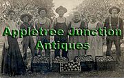 Appletree Junction Antiques