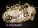 The Antique Carousel