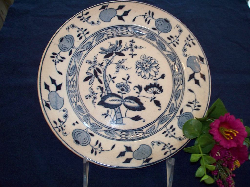 19th Century Staffordshire Luncheon Plate: "Onion" 19th Century Staffordshire Luncheon Plate: "Onion"