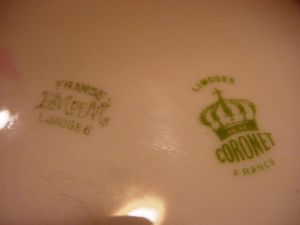 Gorgeous Limoges Porcelain Bowl ~ Hand Painted with Yellow Bearded White Iris ~ PM Mavaleix / Coronet 1908-1914 Gorgeous Limoges Porcelain Bowl ~ Hand Painted with Yellow Bearded White Iris ~ PM Mavaleix / Coronet 1908-1914