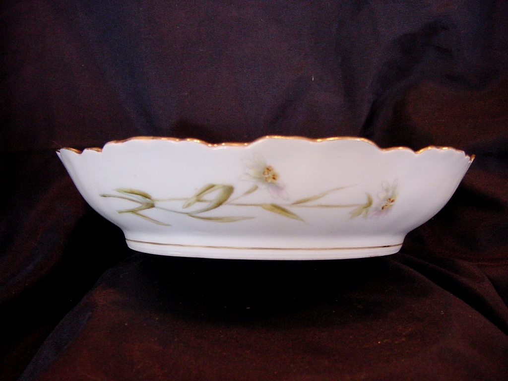 Stunning Limoges Porcelain Bowl / Dish ~ Hand Painted with White Flowers ~ Laviolette / Bawo Dotter ( Elite Works) 1896-1900 Stunning Limoges Porcelain Bowl / Dish ~ Hand Painted with White Flowers ~ Laviolette / Bawo Dotter ( Elite Works) 1896-1900