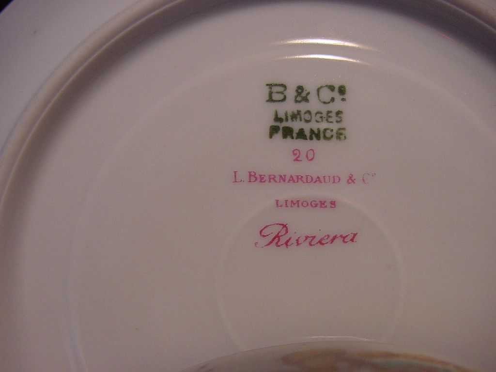 Colorful Limoges Porcelain Cup and Saucer ~ Hand Painted with Flowers ~ Bernardaud & Co Colorful Limoges Porcelain Cup and Saucer ~ Hand Painted with Flowers ~ Bernardaud & Co