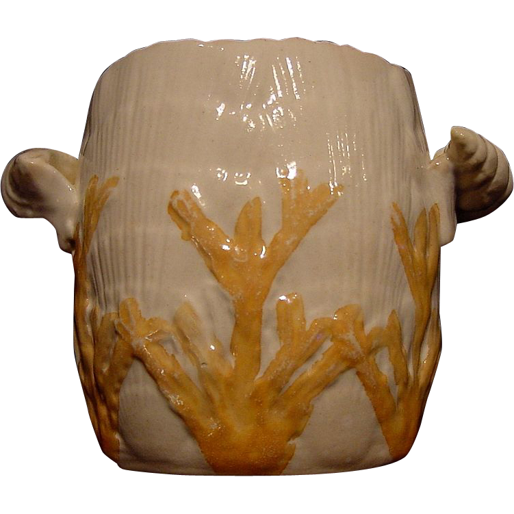 Hard to Find Majolica Double Handled Spooner with Shell and Seaweed Pattern "Albino" ~ Late 1800's Etruscan Hard to Find Majolica Double Handled Spooner with Shell and Seaweed Pattern "Albino" ~ Late 1800's Etruscan