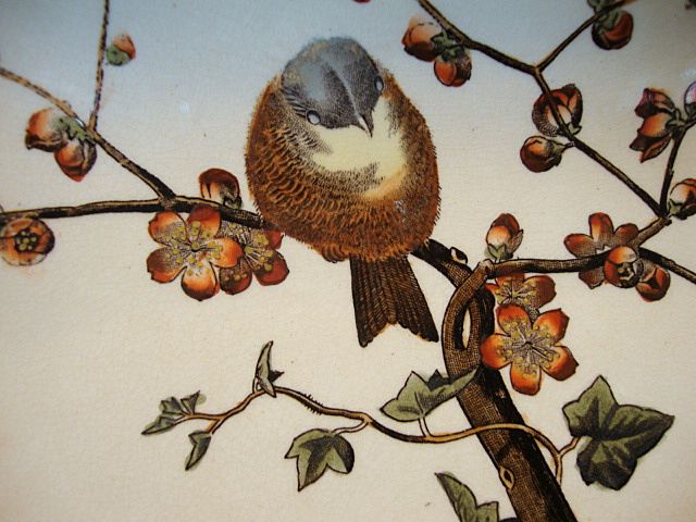 Rare George Jones & Sons ~ Master Salad Bowl and 4 Plate Set ~ ALMOND Pattern ~ Birds and trees~ GJ ca 1880 Rare George Jones & Sons ~ Master Salad Bowl and 4 Plate Set ~ ALMOND Pattern ~ Birds and trees~ GJ ca 1880