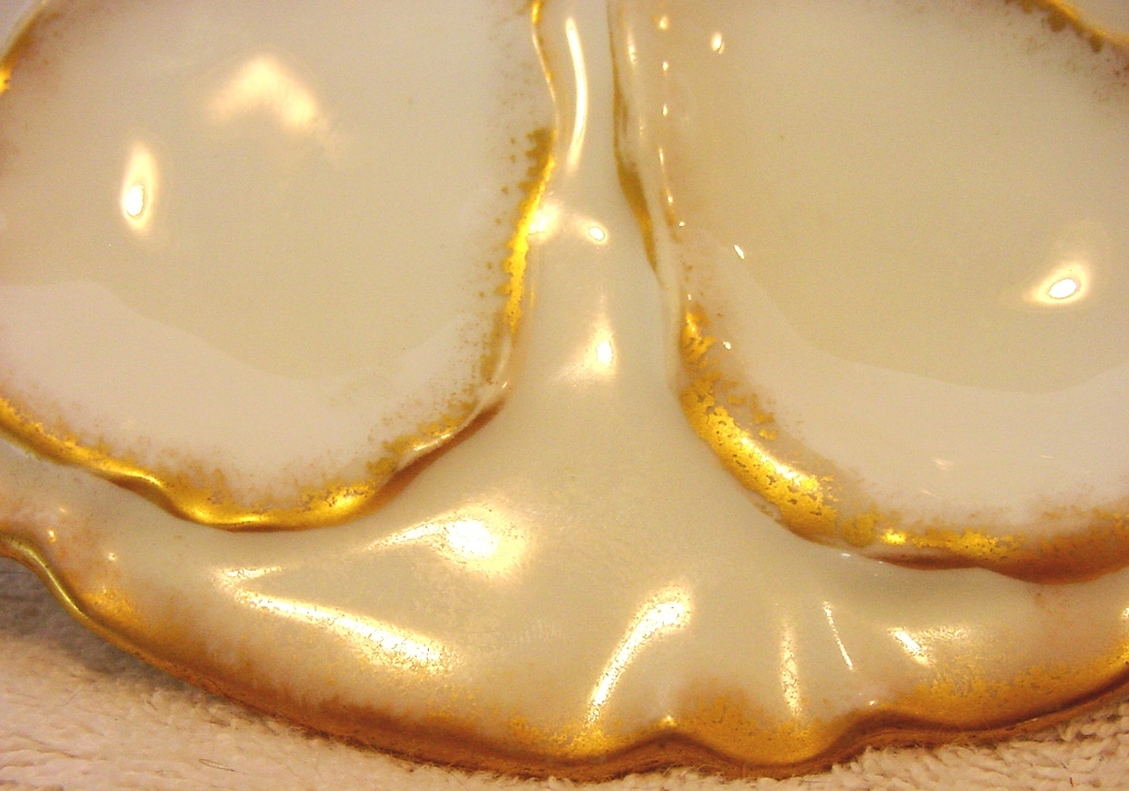 Wonderful Limoges Porcelain Oyster Plate ~138 Year Old ~ White with Gold ~ Charles field Haviland / Gerard Dufraisseix Morel ~ 1870 – 1882 Wonderful Limoges Porcelain Oyster Plate ~138 Year Old ~ White with Gold ~ Charles field Haviland / Gerard Dufraisseix Morel ~ 1870 – 1882