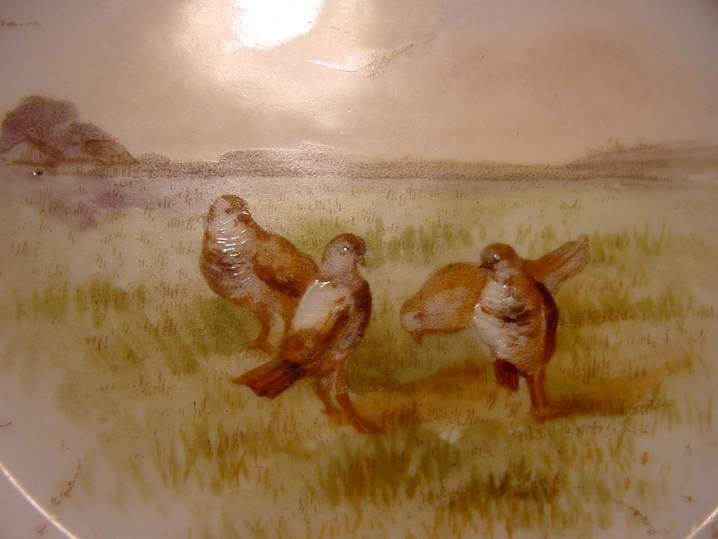 (3) Enamoring Limoges Porcelain Game Plates(Cabinet Plates) ~ Hand Decorated with Shore Birds ~ T & V Tressemann & Vogt 1892-1900 (3) Enamoring Limoges Porcelain Game Plates(Cabinet Plates) ~ Hand Decorated with Shore Birds ~ T & V Tressemann & Vogt 1892-1900