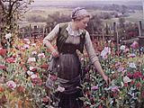More Time Garden