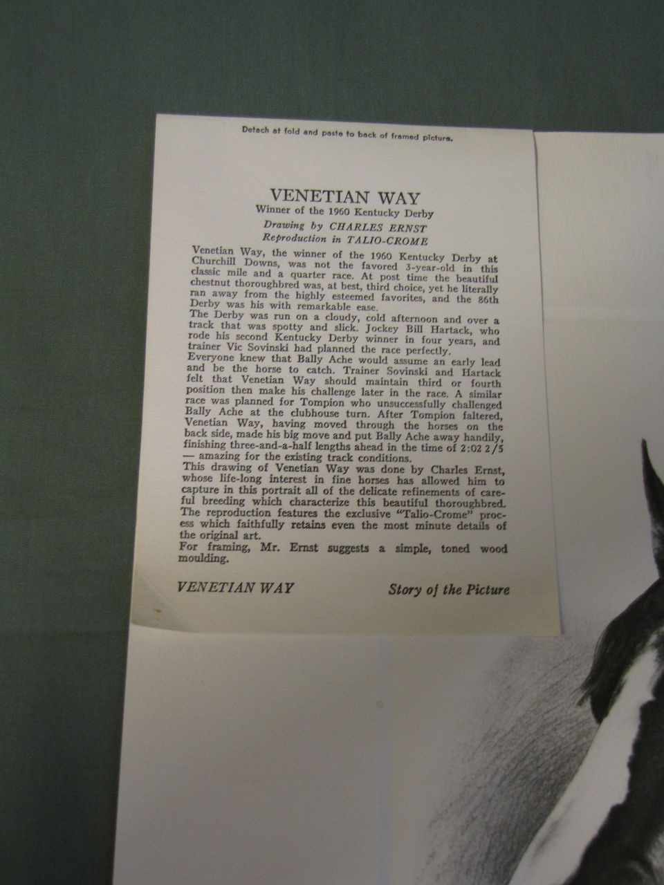 Print of C.W. Ernst Drawing of VENETIAN WAY 1960 Kentucky Derby Winner Print of C.W. Ernst Drawing of VENETIAN WAY 1960 Kentucky Derby Winner