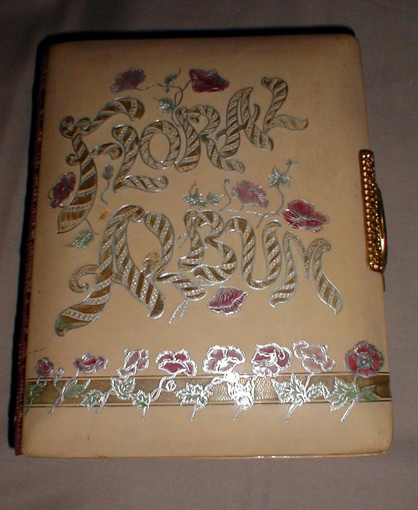 Lovely Victorian Celluloid Cover Photograph Album, Floral Pages Lovely Victorian Celluloid Cover Photograph Album, Floral Pages