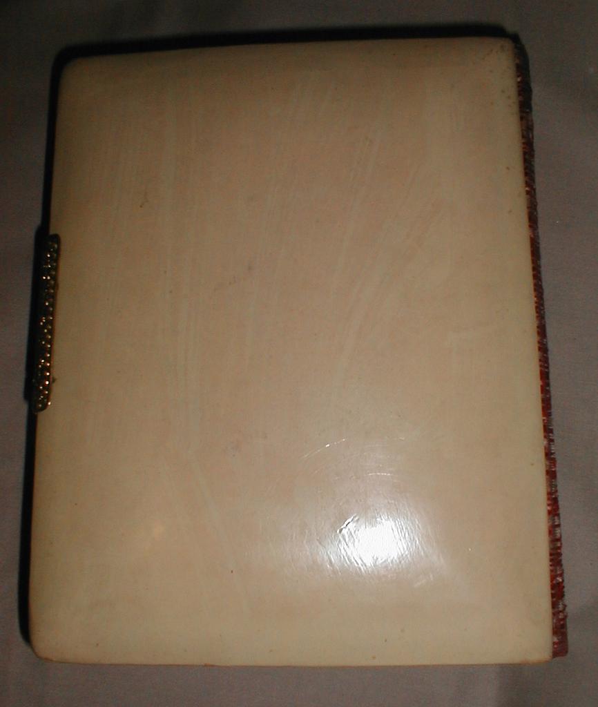 Lovely Victorian Celluloid Cover Photograph Album, Floral Pages Lovely Victorian Celluloid Cover Photograph Album, Floral Pages