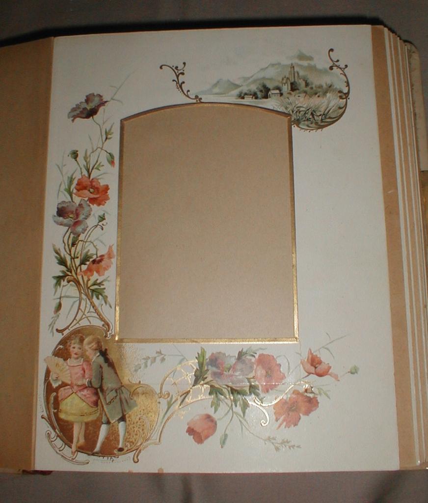 Lovely Victorian Celluloid Cover Photograph Album, Floral Pages Lovely Victorian Celluloid Cover Photograph Album, Floral Pages