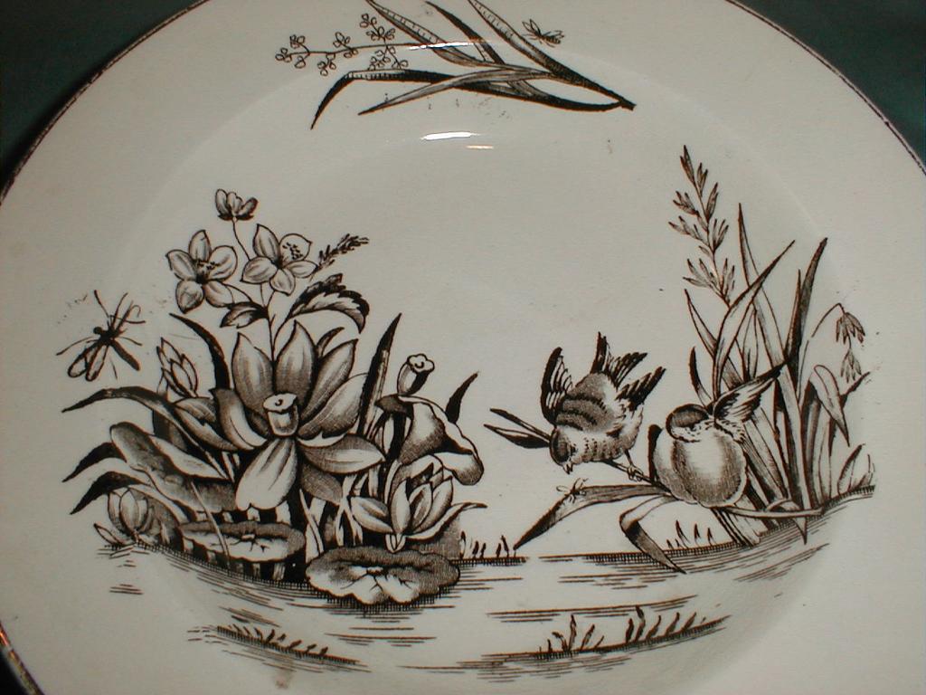 Lovely Brown Transferware Soup Plate, AMAZON, C & H England 1886-9 Lovely Brown Transferware Soup Plate, AMAZON, C & H England 1886-9